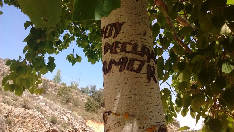 Engraved names of lovers on trees by River Duero